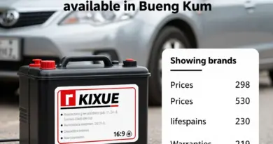 เปรียบเทียบแบตเตอรี่รถยนต์ยี่ห้อยอดนิยมที่หาซื้อได้ในบึงกุ่ม (ราคา อายุการใช้งาน รับประกัน)