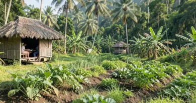 Chanthaburi’s Sustainable Farms: Your Guide to Eco-Friendly Travel